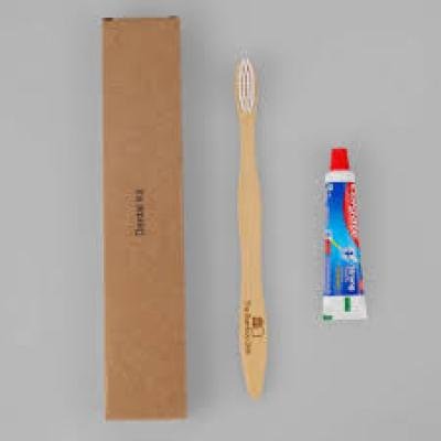 Bamboo Dental Kit