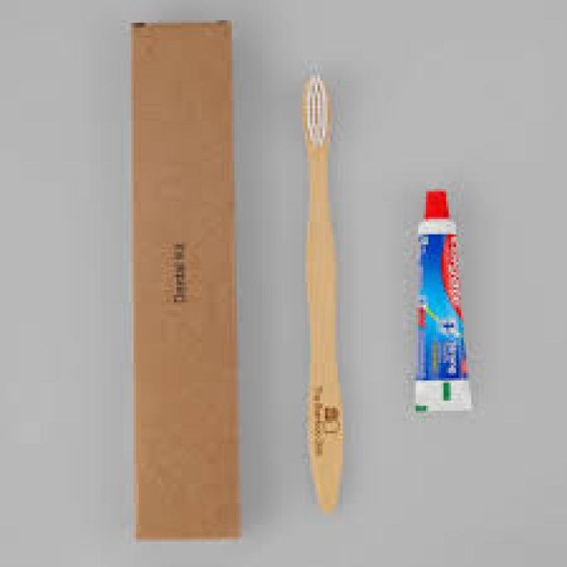 Bamboo Dental Kit