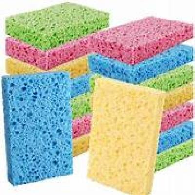 Dish Sponges