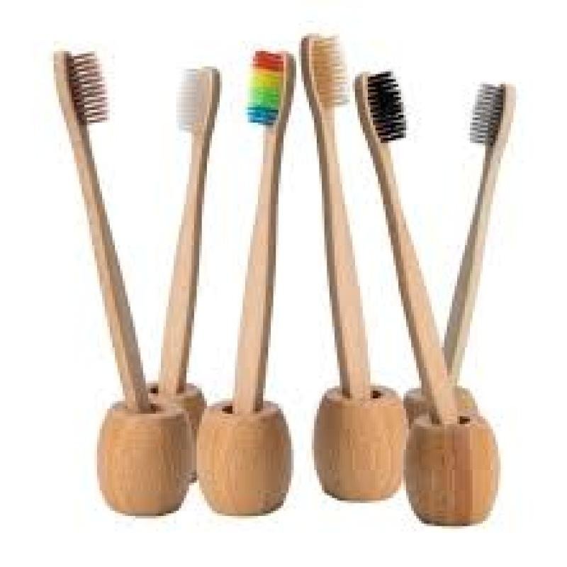 Bamboo Brush with Holder