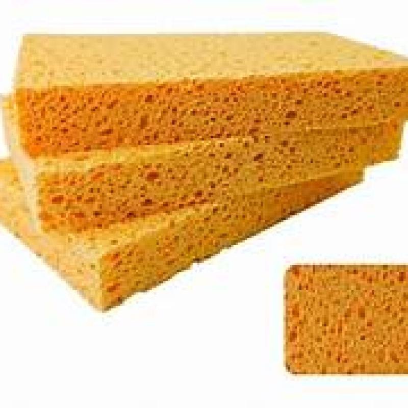 Dish Sponges
