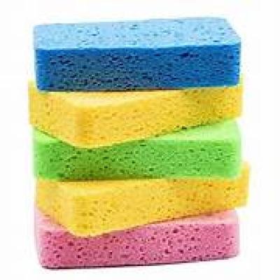 Dish Sponges